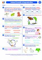 Animal Growth and Reproduction. Science Worksheets and Study Guides ...