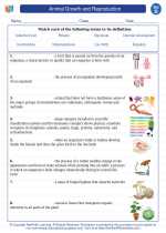 Animal Growth and Reproduction. Science Worksheets and Study Guides ...