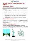 Social Studies - Fifth Grade - Study Guide: Holidays, Landmarks, & Symbols