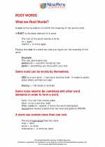 English Language Arts - Fifth Grade - Study Guide: Root Words