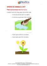 Science - First Grade - Study Guide: Where do animals live?