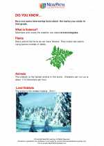 Science - Second Grade - Study Guide: Did you know... 2nd Grade