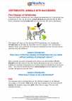 Science - Fourth Grade - Study Guide: Vertebrates - Animals  with  Backbones