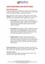 Science - Fifth Grade - Study Guide: Plant Responses and Adaptations