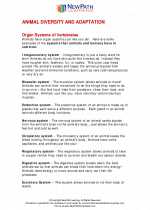 Science - Fifth Grade - Study Guide: Animal Diversity and Adaptations