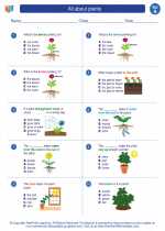 Science - First Grade - Worksheet: All about plants
