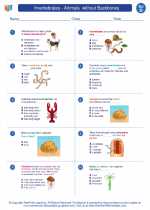 Science - Fourth Grade - Worksheet: Invertebrates - Animals  without Backbones