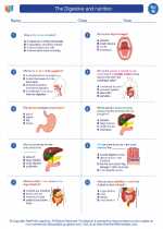 Science - Eighth Grade - Worksheet: The Digestive and nutrition