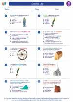 Social Studies - Seventh Grade - Worksheet: Colonial Life