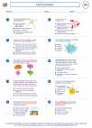 Biology - High School - Worksheet: Cell processes