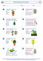 Biology - High School - Worksheet: Plant structure and function