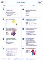 Biology - High School - Worksheet: Human biology II