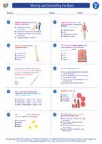 Science - Sixth Grade - Worksheet: Moving and Controlling the Body
