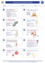 Science - Sixth Grade - Worksheet: Moving and Controlling the Body