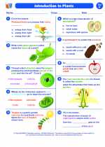 Science - Seventh Grade - Worksheet: Introduction to Plants