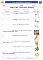 Science - Fifth Grade - Vocabulary: Plant Responses and Adaptations