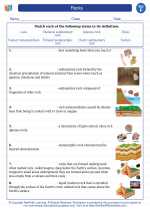 Science - Sixth Grade - Vocabulary: Rocks