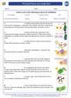 Biology - High School - Vocabulary: Photosynthesis and respiration