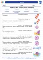 Biology - High School - Vocabulary: Mitosis