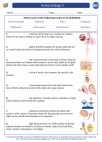 Biology - High School - Vocabulary: Human biology II