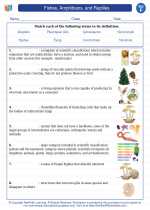 Science - Sixth Grade - Vocabulary: Fishes, Amphibians, and Reptiles