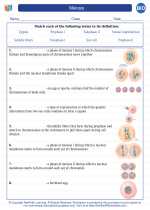 Biology - High School - Vocabulary: Meiosis