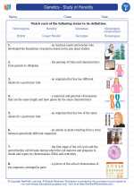 Science - Sixth Grade - Vocabulary: Genetics - Study of Heredity