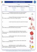 Science - Eighth Grade - Vocabulary: Circulation and immunity