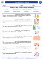 Science - Eighth Grade - Vocabulary: Circulation and immunity
