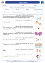 Biology - High School - Vocabulary: Cell Processes