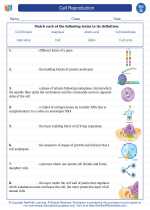 Science - Seventh Grade - Vocabulary: Cell Reproduction