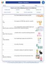 Science - Eighth Grade - Vocabulary: Modern Genetics