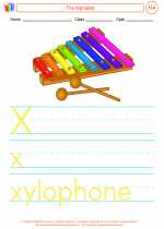 English Language Arts - First Grade - Activity Lesson: Alphabetizing