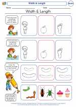 Mathematics - Kindergarten - Worksheet: Width & Length