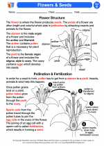 Science - Fifth Grade - Activity Lesson: Flowers & Seeds