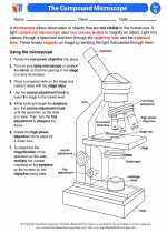 Science - Seventh Grade - Activity Lesson: The Compound Microscope