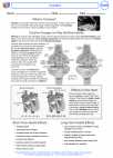 Health ED -  - Activity Lesson: Cocaine