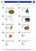 Social Studies - Fifth Grade - Worksheet: Iroquois