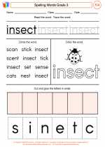 English Language Arts - Third Grade - Worksheet: Spelling Words