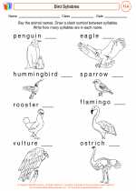 English Language Arts - Fourth Grade - Worksheet: Bird Syllables