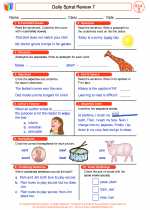 English Language Arts - Third Grade - Worksheet: Daily Spiral Review 7