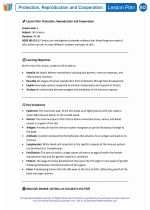 Science - Sixth Grade - Lesson plan: Protection, Reproduction and Cooperation - Bundle