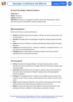 Science - Sixth Grade - Lesson plan: Sponges, Cnidarians and Worms - Bundle